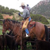 a working wade saddle, half rough out half smooth.